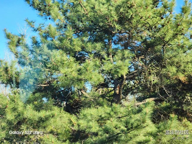 【初春時(shí)刻】春花爛漫時(shí)