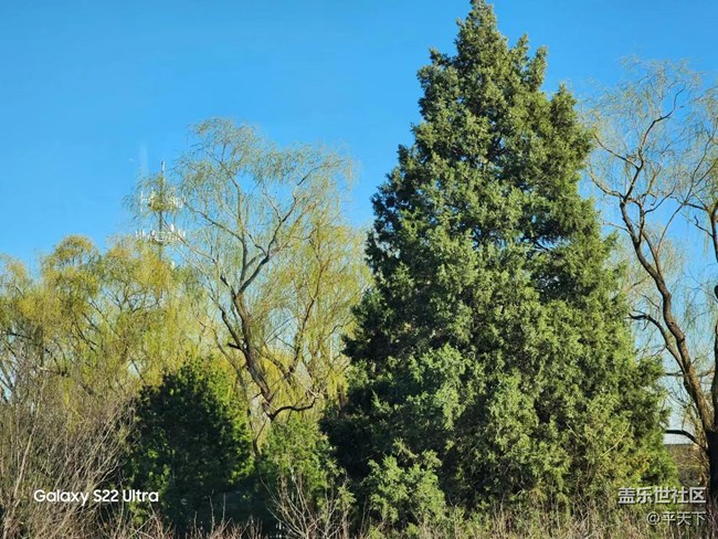 【初春時(shí)刻】春花爛漫時(shí)