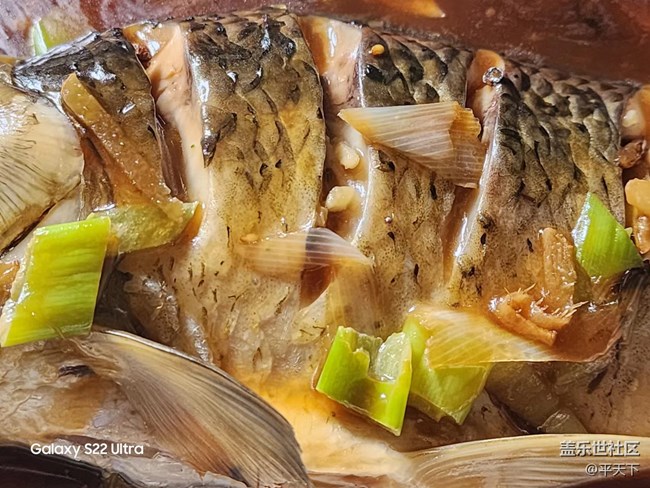 【家鄉(xiāng)美食】清蒸武昌魚
