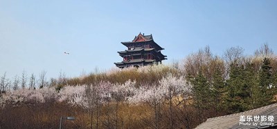 【生活的色彩】+春天的顏色