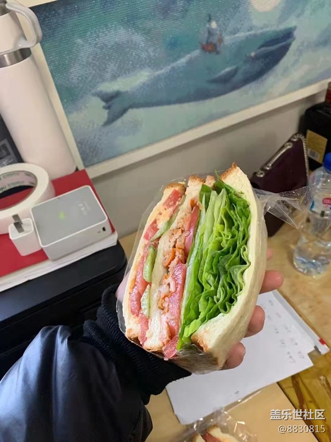 【家乡美食】三明治