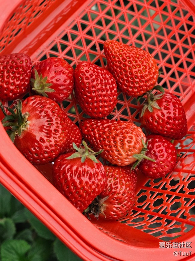 【農(nóng)家樂攝影活動】+活動回顧