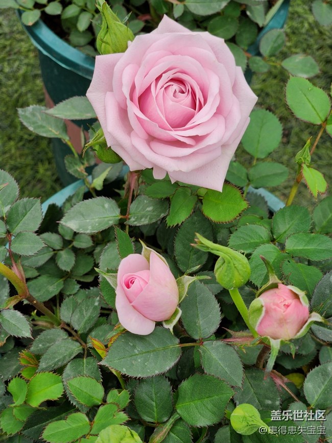 【農(nóng)家樂(lè)攝影活動(dòng)】+3月25日線下活動(dòng)