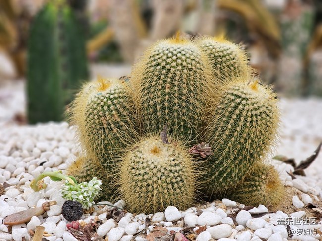 【農(nóng)家樂攝影活動】+3月25日攝影活動作品