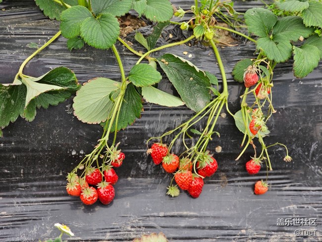 【農(nóng)家樂攝影活動】+活動回顧