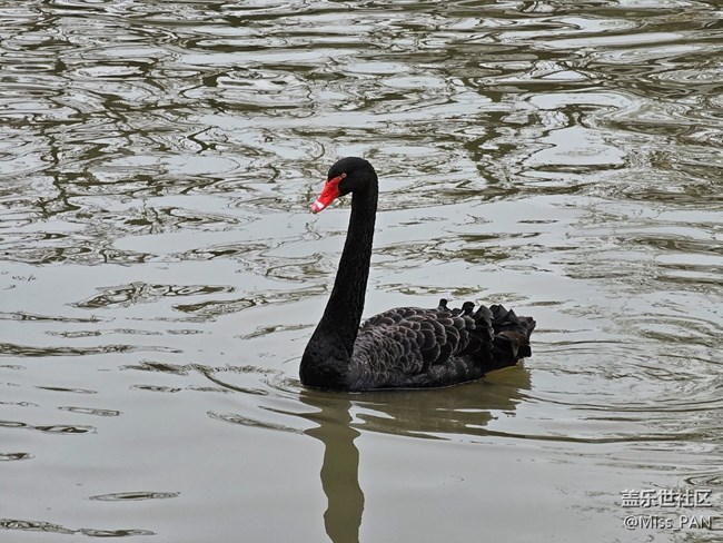 【農(nóng)家樂攝影活動】+變焦的厲害