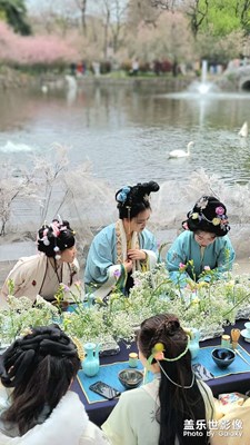 海棠花會