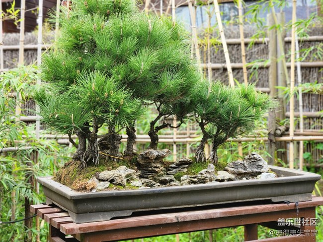 【農(nóng)家樂(lè)攝影活動(dòng)】+3月25日線下活動(dòng)