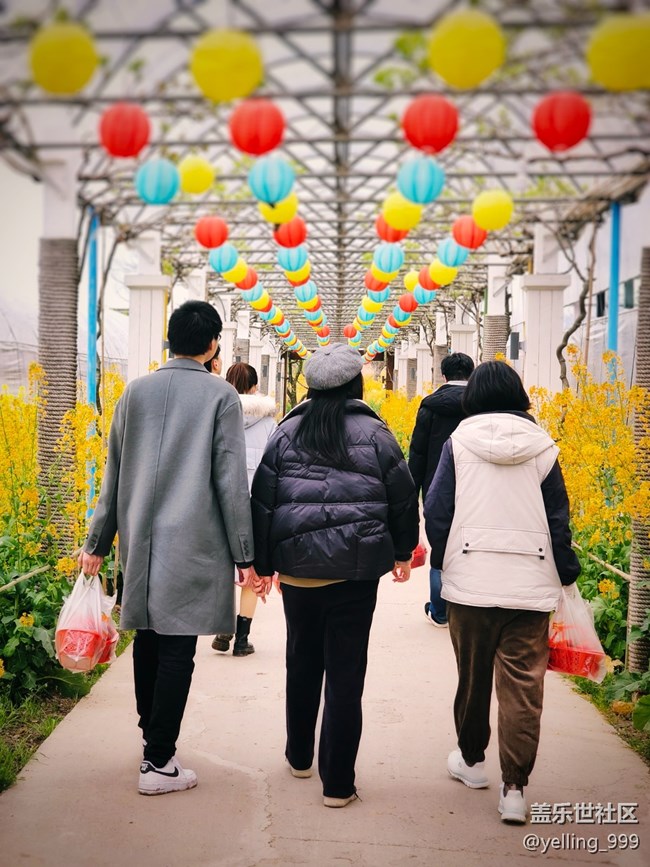 上海星部落3月25日農家樂攝影活動回顧帖