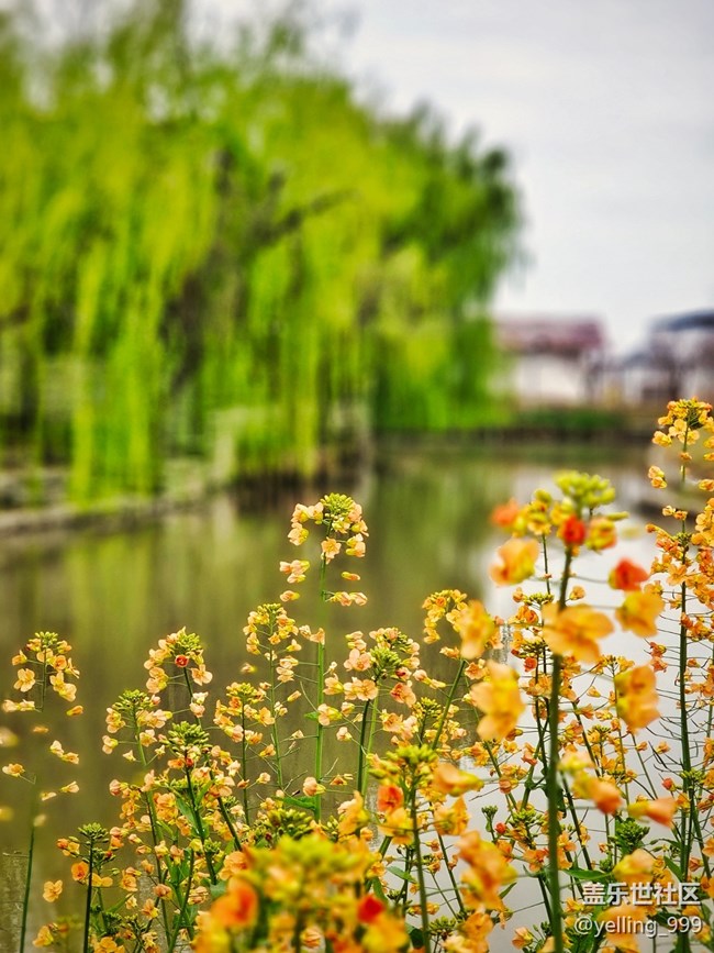 上海星部落3月25日農家樂攝影活動回顧帖