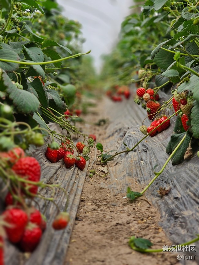 【農(nóng)家樂攝影活動】+活動回顧