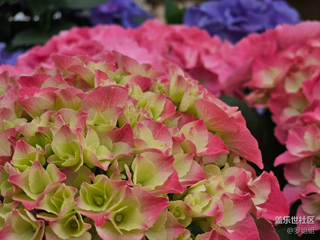 【農(nóng)家樂攝影活動】+3月25日攝影活動作品