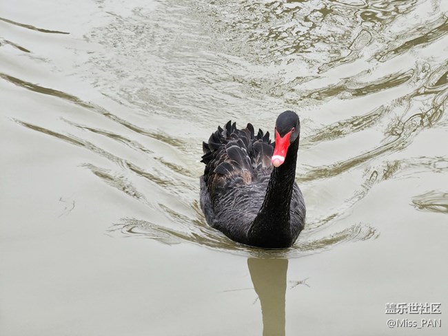 【農(nóng)家樂攝影活動】+變焦的厲害