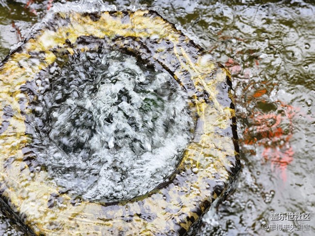 【農(nóng)家樂(lè)攝影活動(dòng)】+3月25日線下活動(dòng)