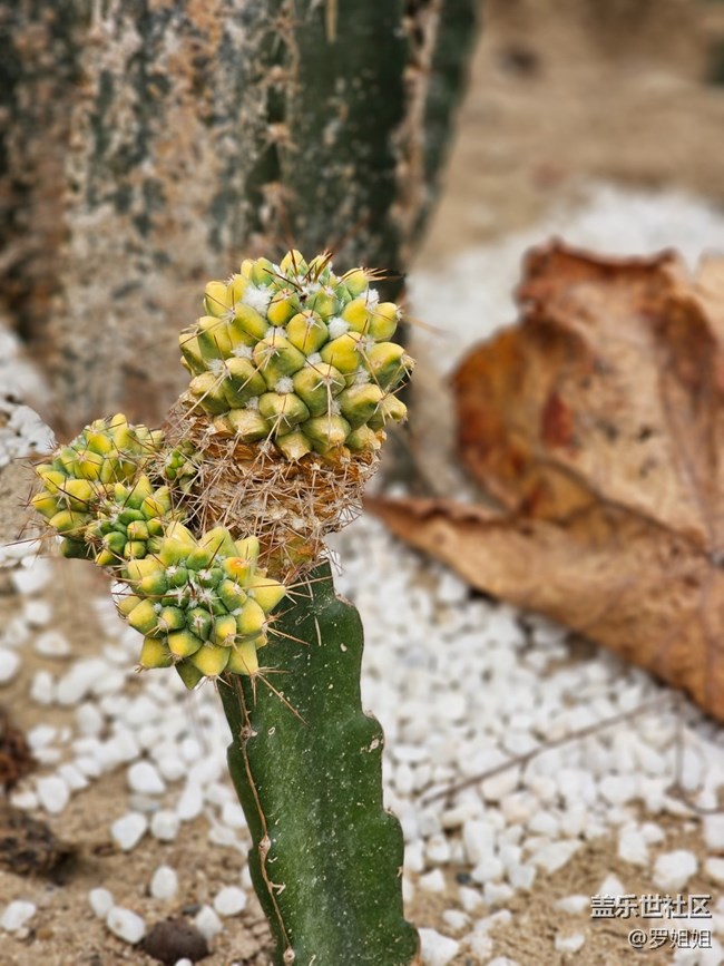 【農(nóng)家樂攝影活動】+3月25日攝影活動作品