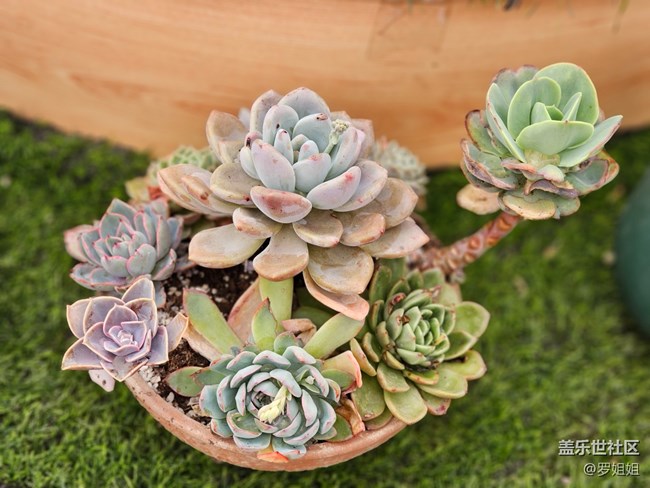 【農(nóng)家樂攝影活動】+3月25日攝影活動作品