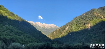 隨拍