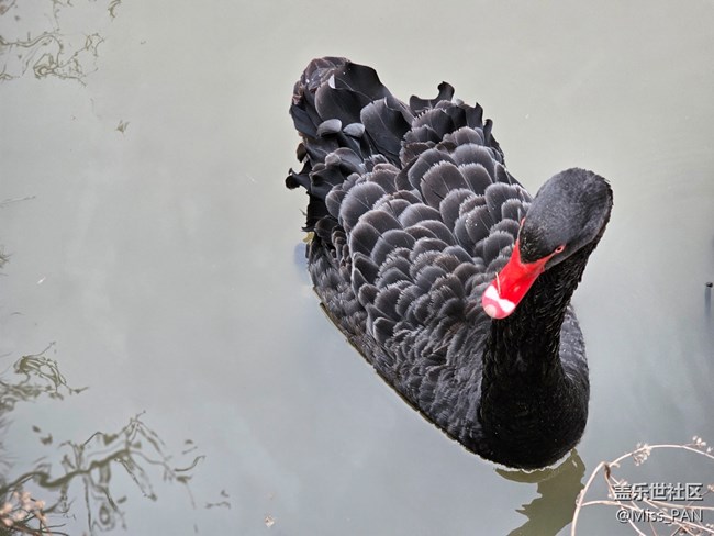 【農(nóng)家樂攝影活動】+變焦的厲害