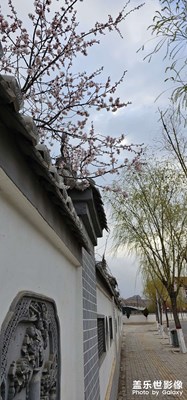 S23U，今天早上天氣不好，拍的照片有點不理想