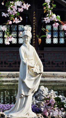 海棠依舊