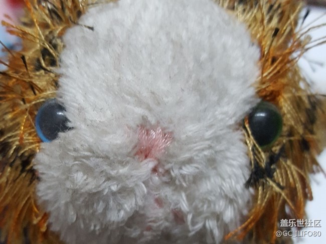 【閃亮的日子】歲月留痕