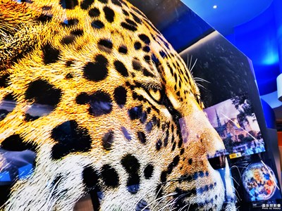 【生活的色彩】+金 Yellowkorner 陵-2