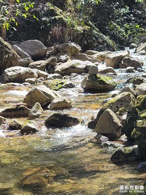 風(fēng)景