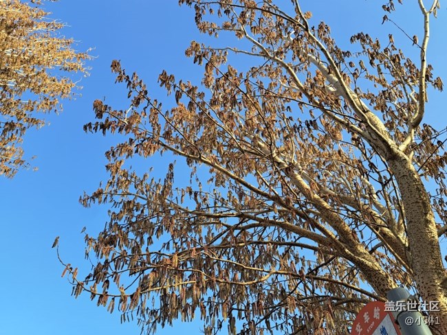 【初春時(shí)刻】萬物復(fù)蘇