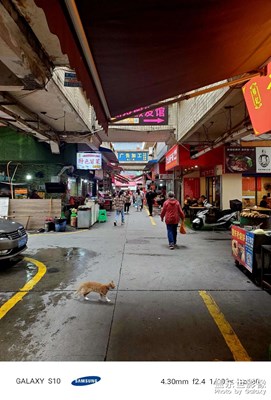 復(fù)古小巷