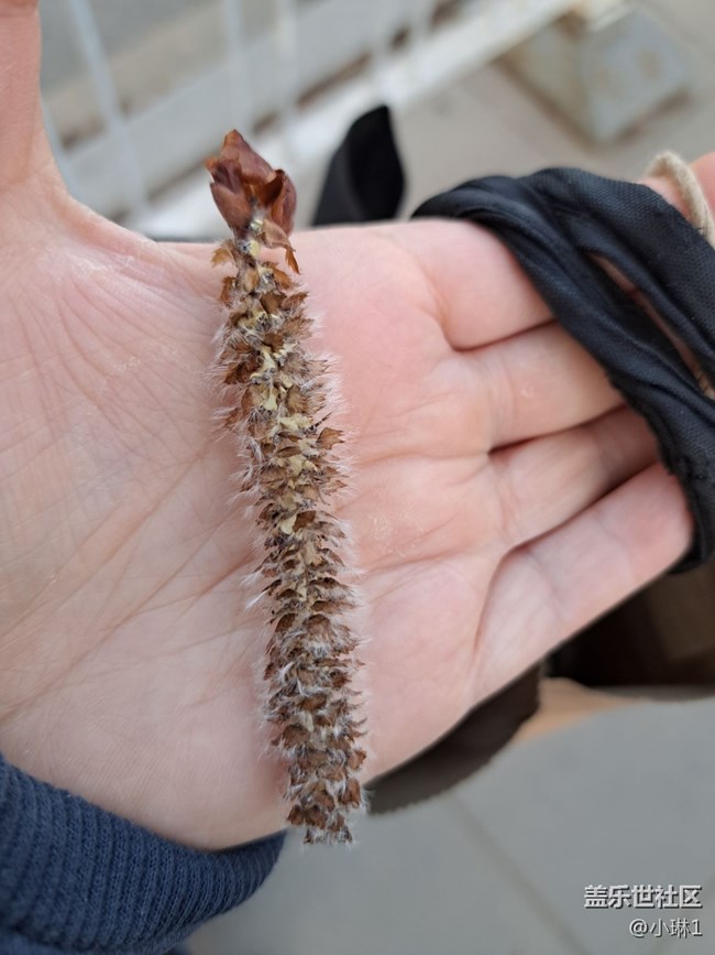 【初春時(shí)刻】萬物復(fù)蘇