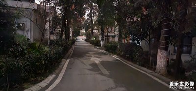 隨拍