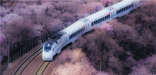 Galaxy S23 Ultra 花海列车