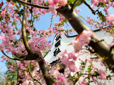 春暖花開
