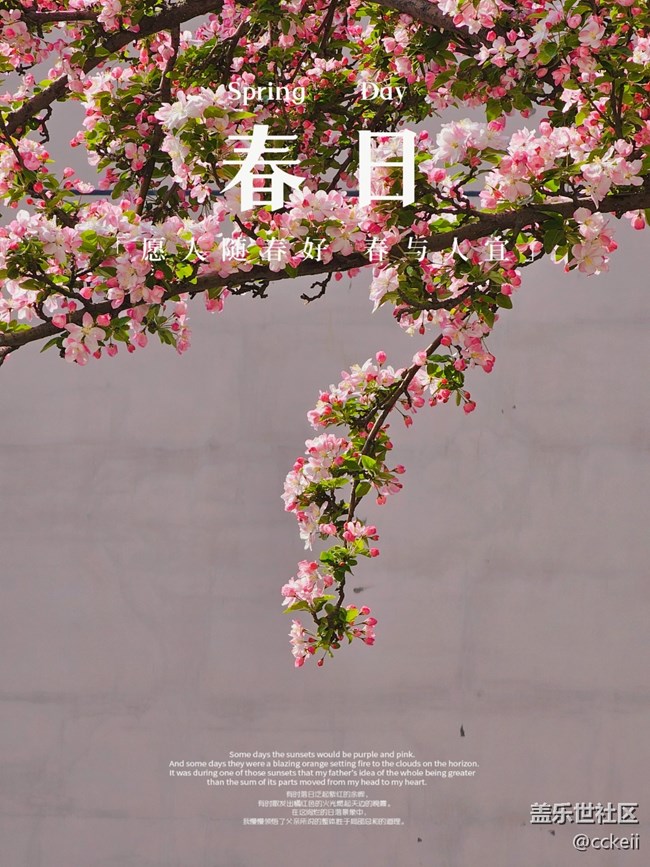 你們會(huì)經(jīng)常出現(xiàn)網(wǎng)絡(luò)不穩(wěn)定嗎？