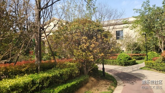 【初春時(shí)刻】+初春的花兒