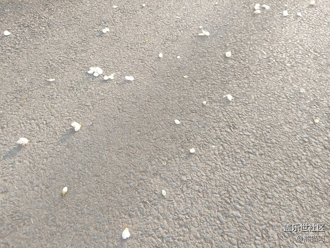 【初春時(shí)刻】桃花朵朵開