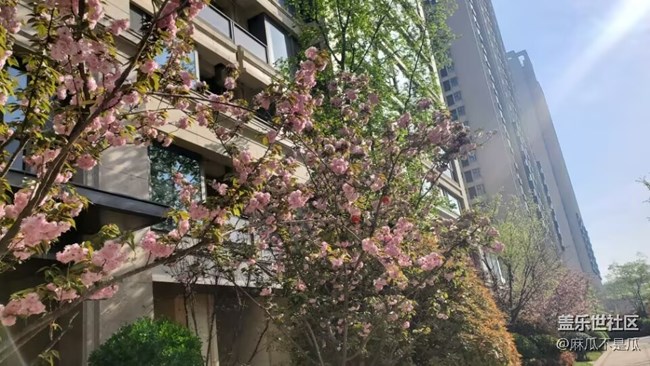 【初春時(shí)刻】+初春的花兒