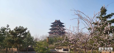 【美好時光】+周末賞春