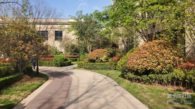 【初春時(shí)刻】+初春的花兒