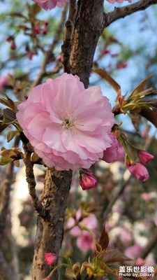 三月再見，四月你好