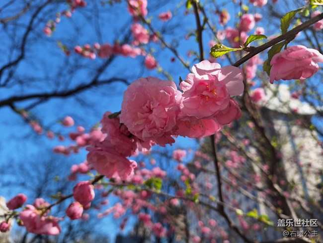 體驗(yàn)更出彩！三星Galaxy A54 5G評(píng)測(cè)