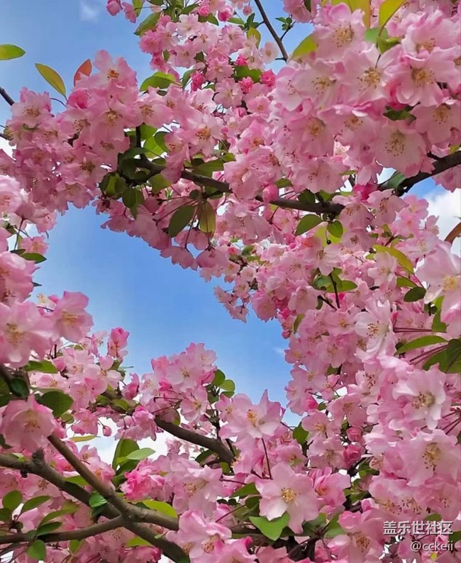 想買個pitaka的殼子 各位基友有何建議？