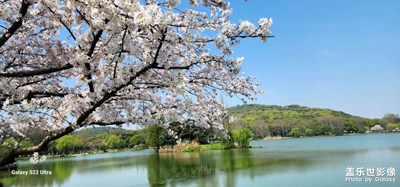 拈花灣