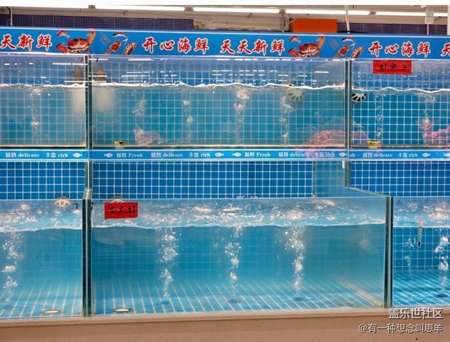 【科技時代】鮮活的魚??