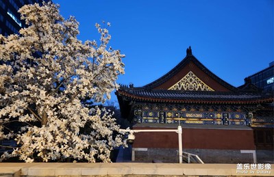 【美好時(shí)光】+遇見(jiàn)花海