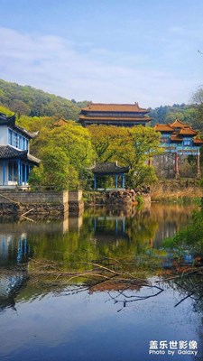 致即將失去的美麗風(fēng)景