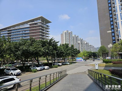 周末值班，午后陽(yáng)光