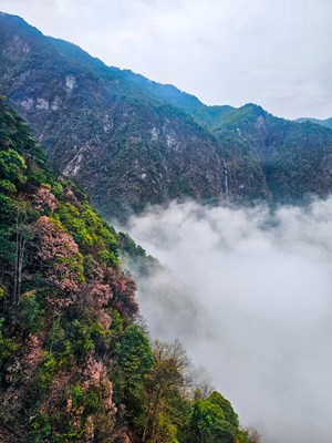 Galaxy S23 Ultra不識(shí)真面目