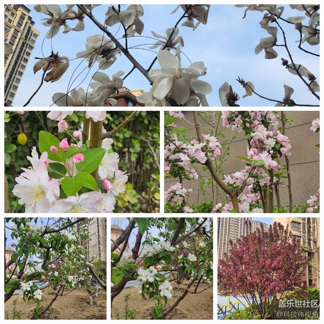 三星Galaxy Z Fold4手機(jī)相冊美報拼圖功能