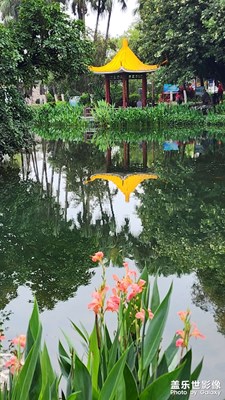 濕地花語(yǔ)